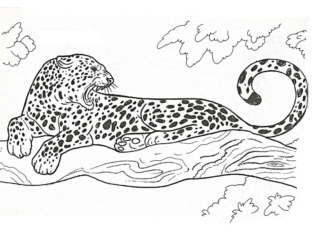 Dibujos para colorear e imprimir Leopard