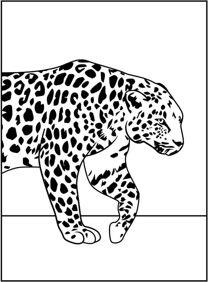 Dibujos para colorear e imprimir Leopard