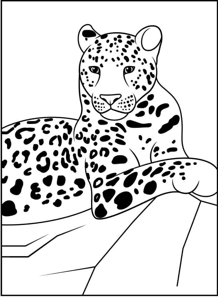 Dibujos para colorear e imprimir Leopard