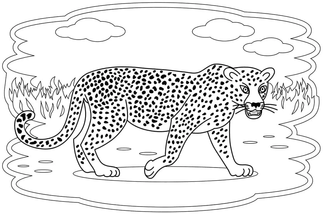 Dibujos para colorear e imprimir Leopard