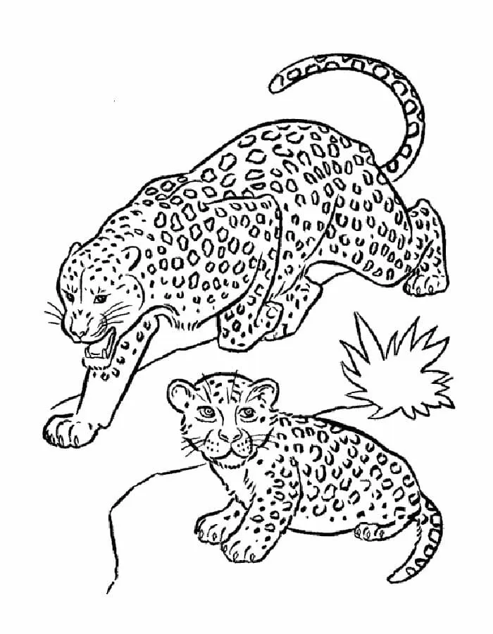 Dibujos para colorear e imprimir Leopard