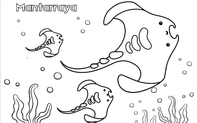 Dibujos para colorear e imprimir Manta Ray