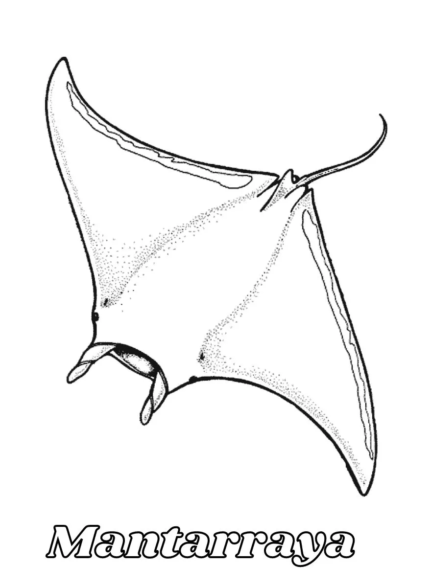 Dibujos para colorear e imprimir Manta Ray