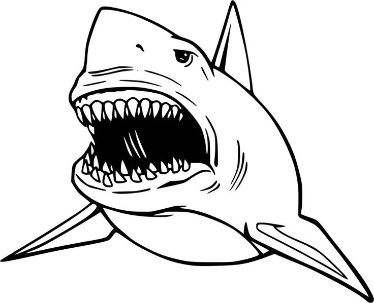 Dibujos para colorear e imprimir Megalodon