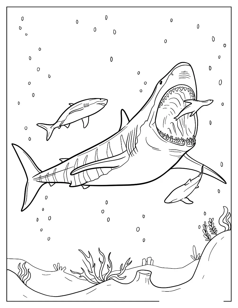 Dibujos para colorear e imprimir Megalodon