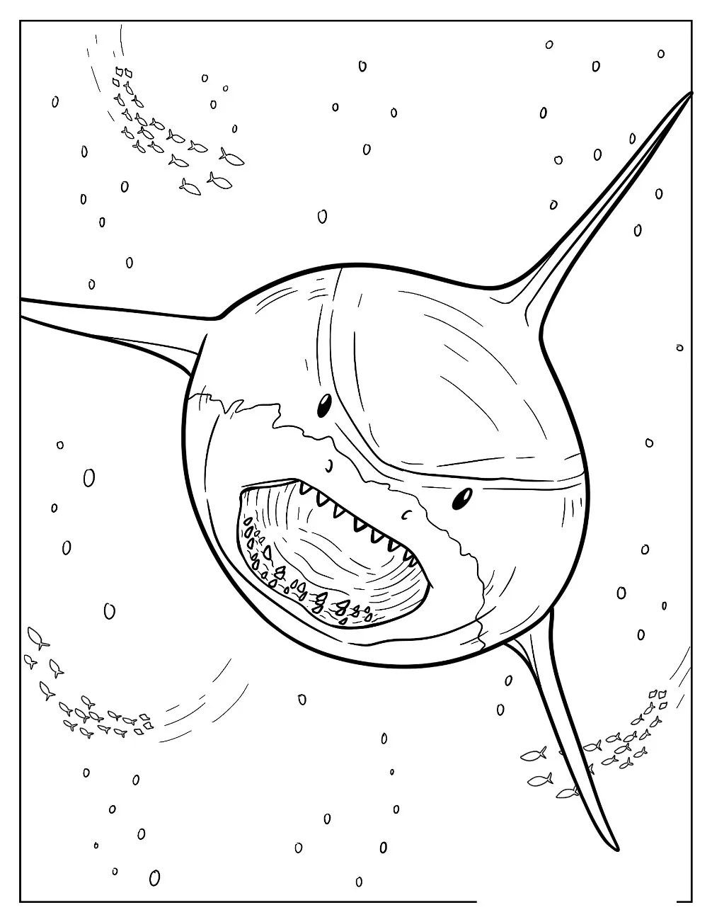 Dibujos para colorear e imprimir Megalodon