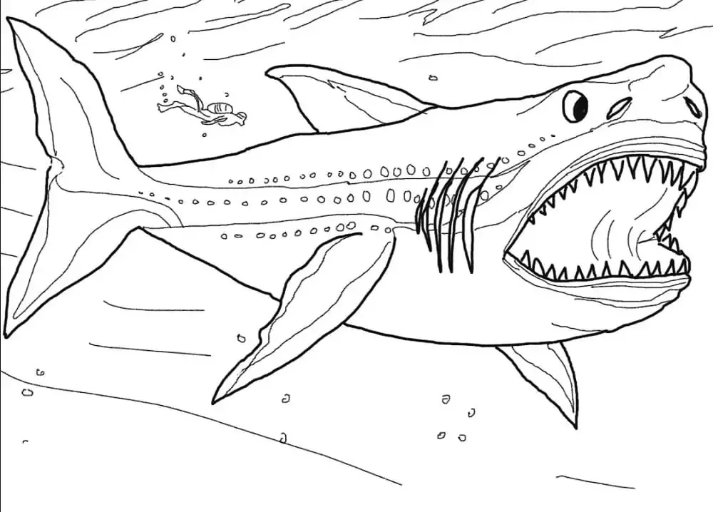 Dibujos para colorear e imprimir Megalodon