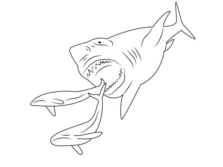 Dibujos para colorear e imprimir Megalodon