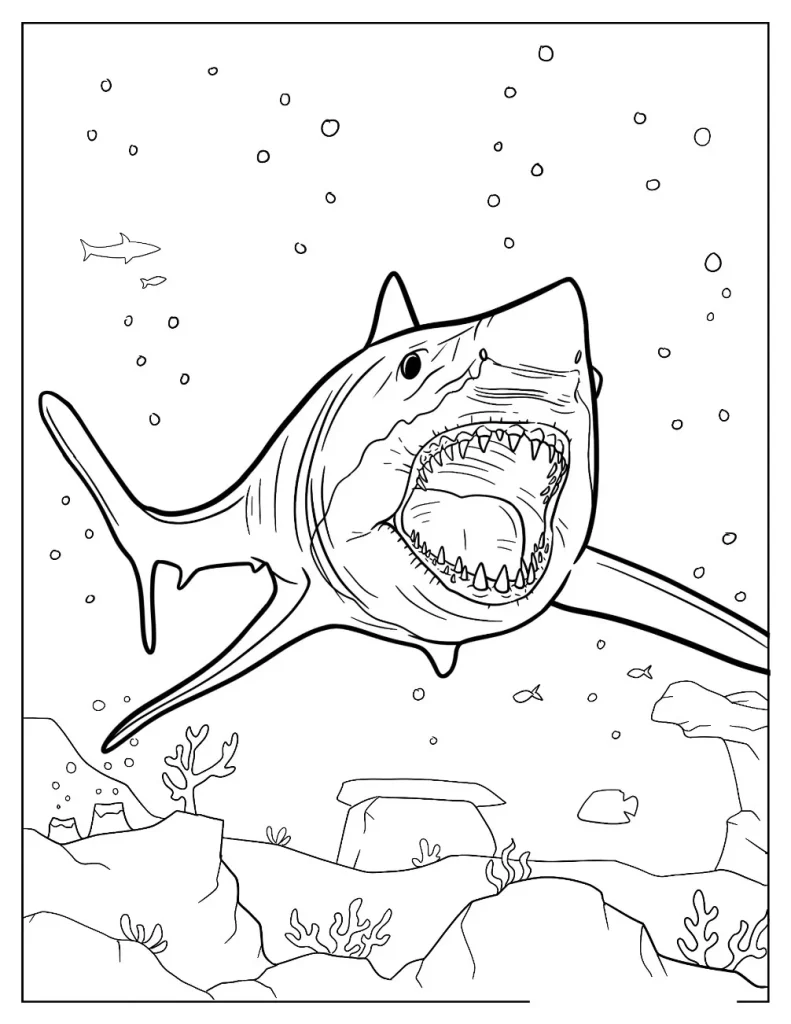 Megalodon coloring pages 5