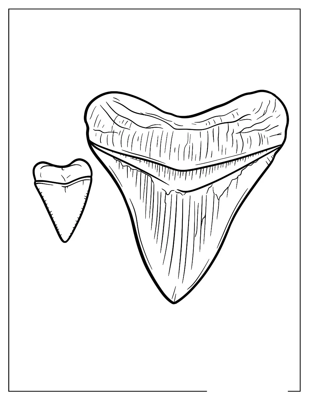 Dibujos para colorear e imprimir Megalodon