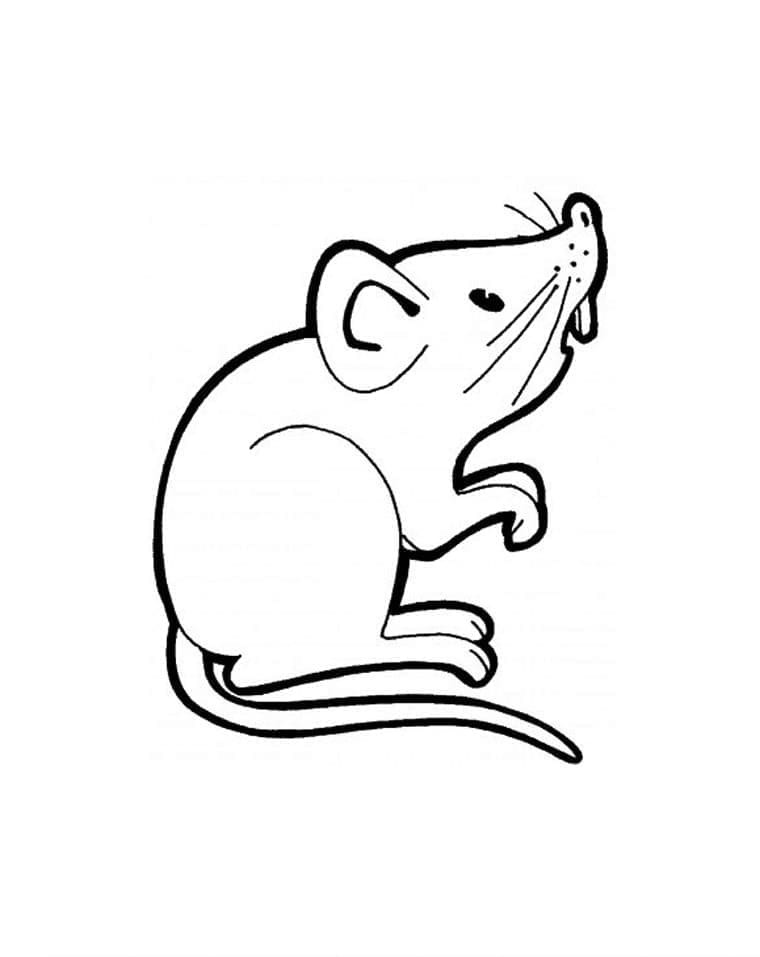 Dibujos para colorear e imprimir Mouse