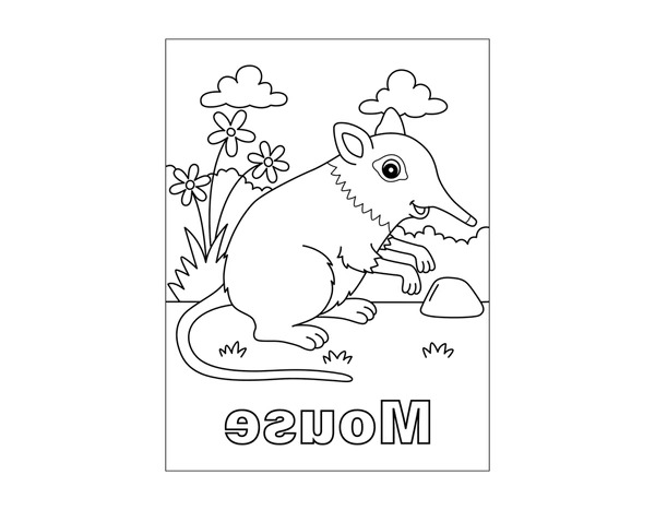 Dibujos para colorear e imprimir Mouse