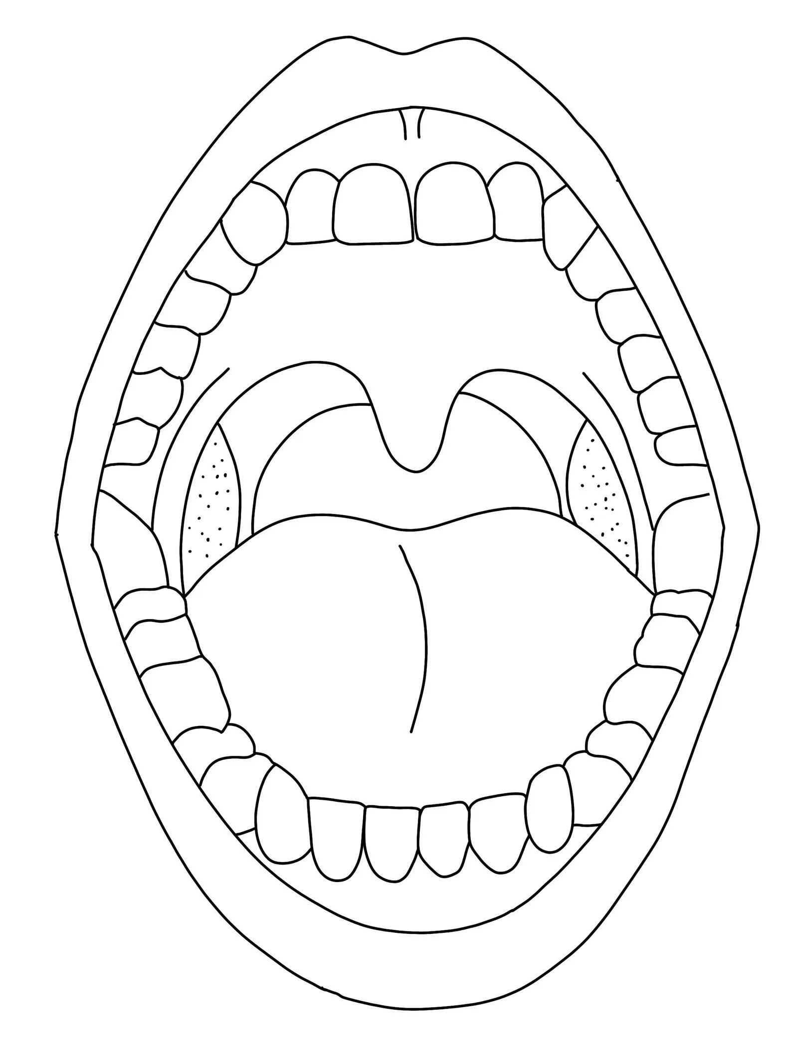 Dibujos para colorear e imprimir Mouth