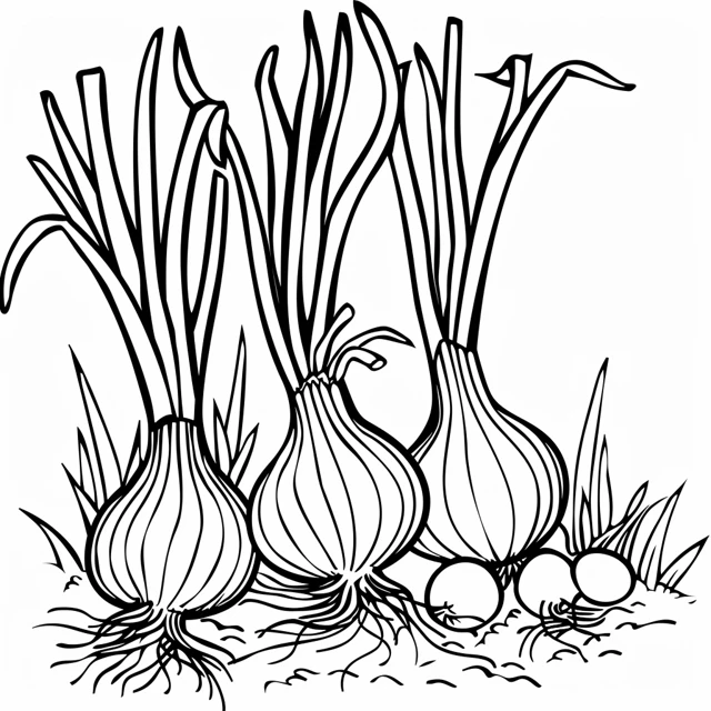 Dibujos para colorear e imprimir Onion