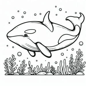 Orca coloring pages 1