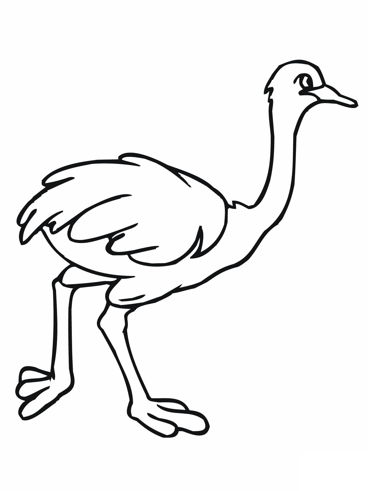 Dibujos para colorear e imprimir Ostrich