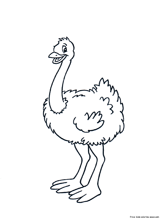 Dibujos para colorear e imprimir Ostrich