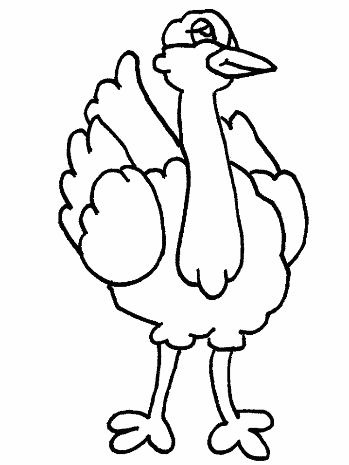 Dibujos para colorear e imprimir Ostrich