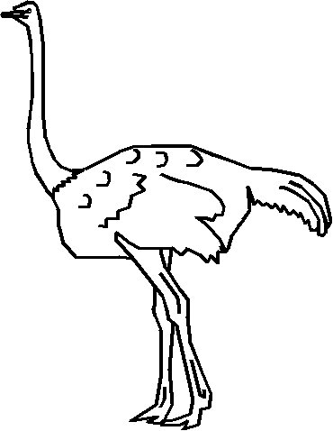 Dibujos para colorear e imprimir Ostrich