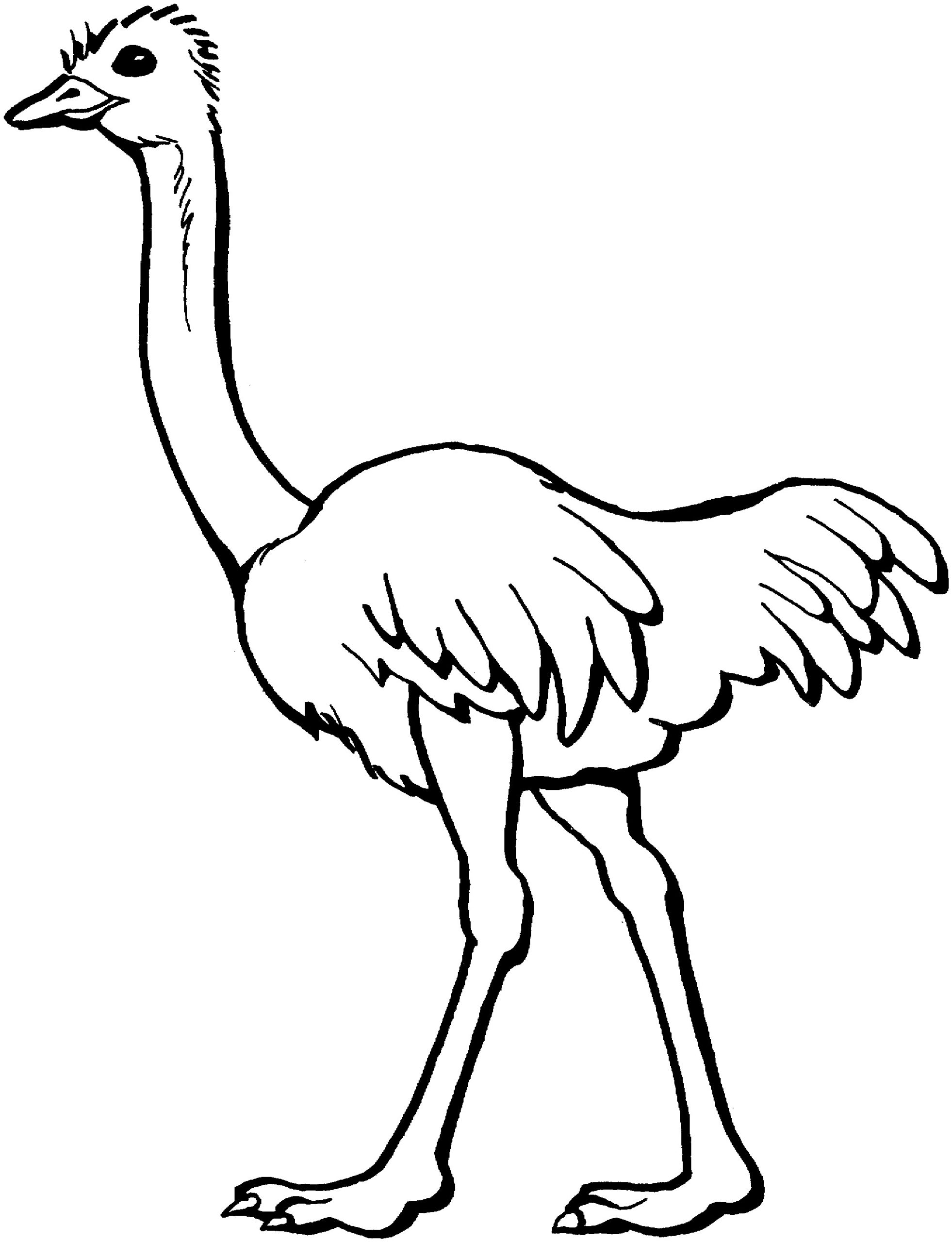 Dibujos para colorear e imprimir Ostrich