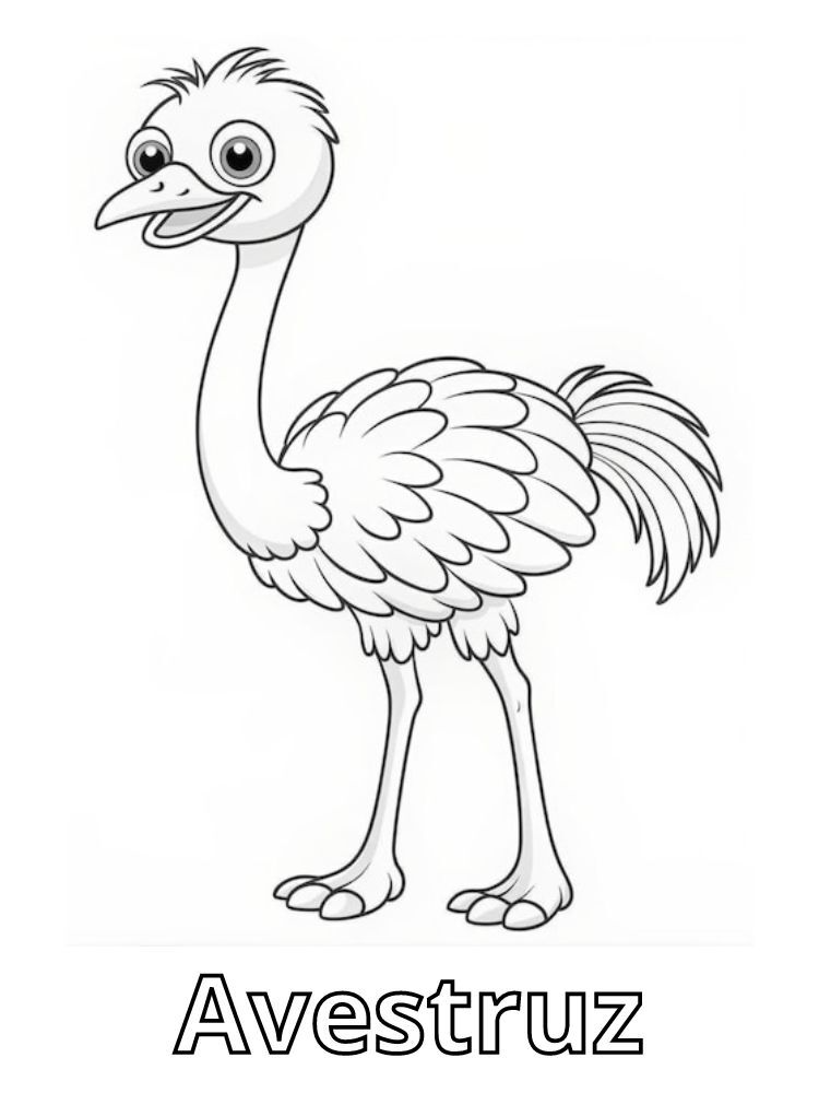 Dibujos para colorear e imprimir Ostrich