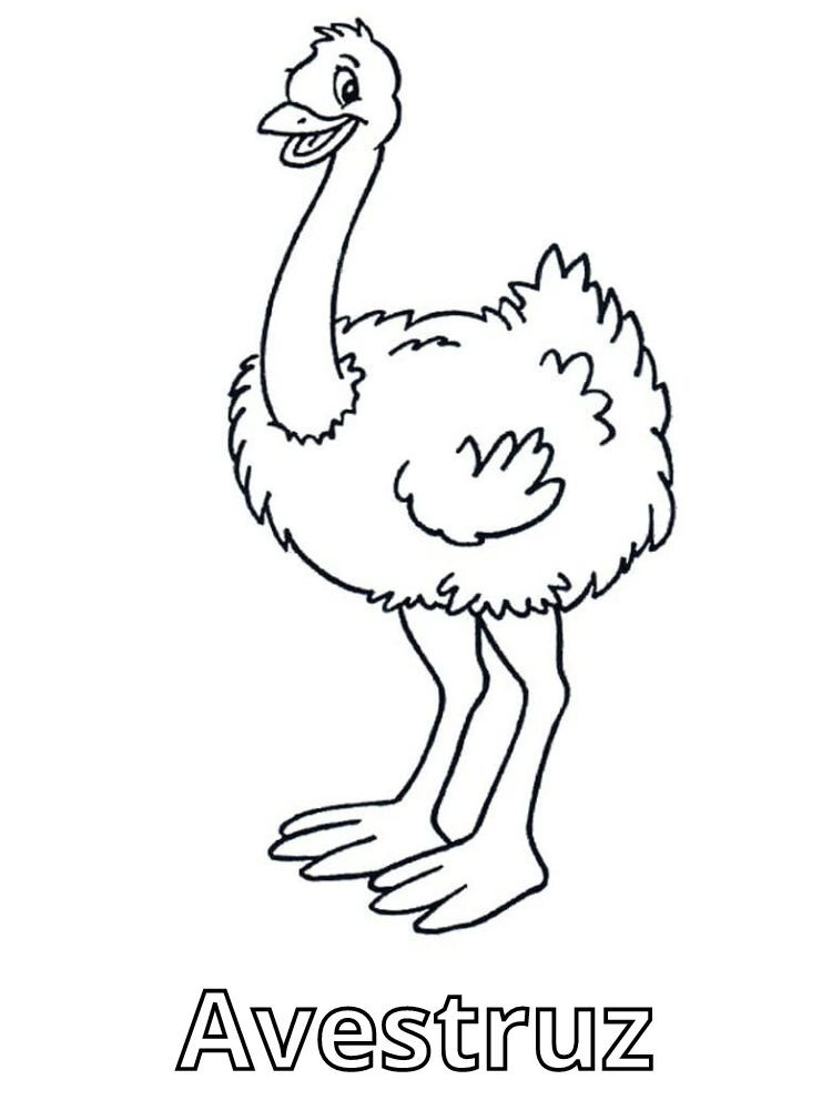 Dibujos para colorear e imprimir Ostrich