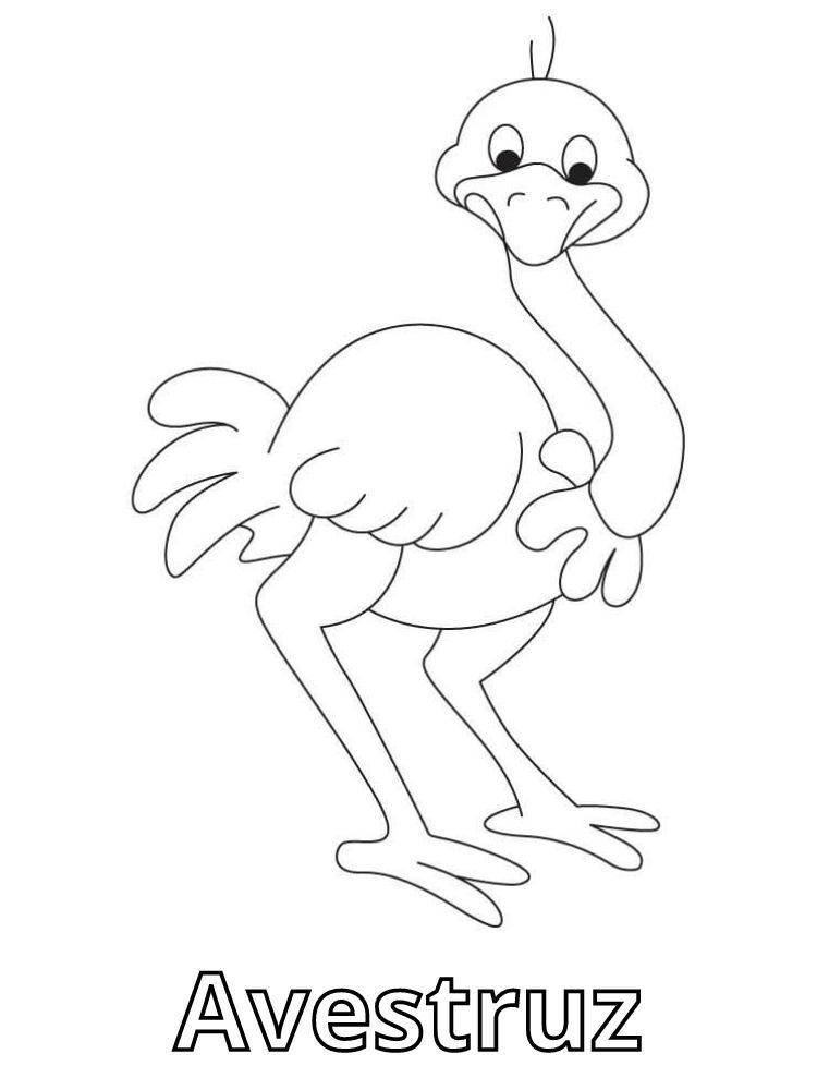 Dibujos para colorear e imprimir Ostrich