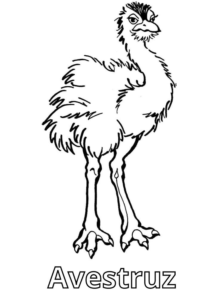 Dibujos para colorear e imprimir Ostrich