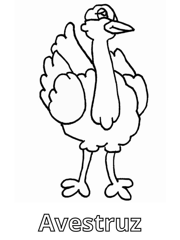 Dibujos para colorear e imprimir Ostrich