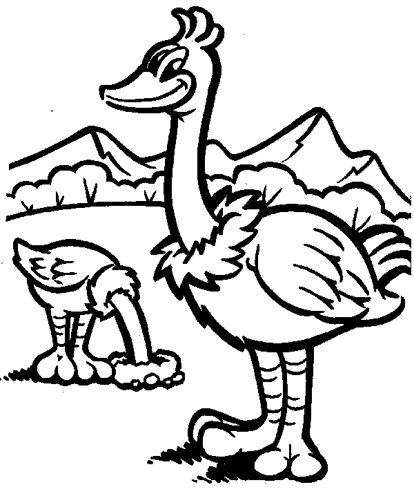 Dibujos para colorear e imprimir Ostrich