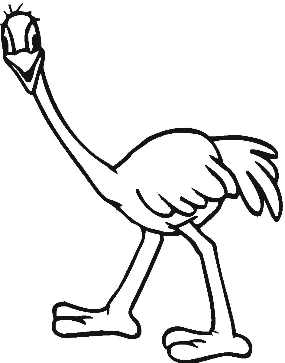 Dibujos para colorear e imprimir Ostrich