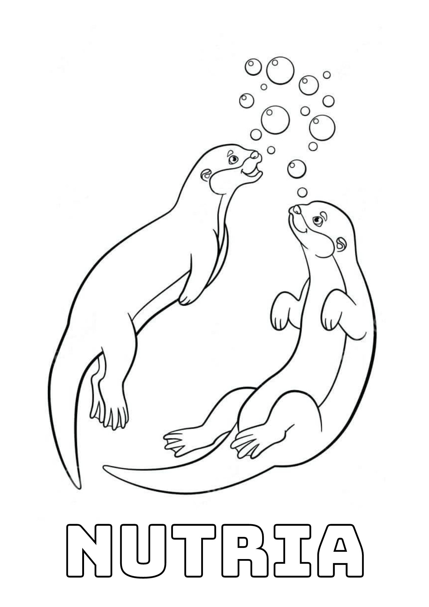 Dibujos para colorear e imprimir Otters