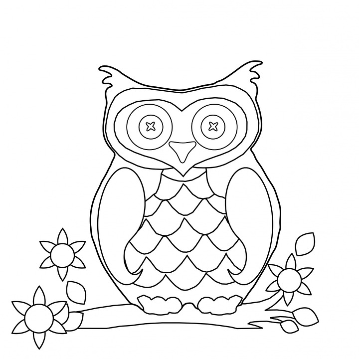 Dibujos para colorear e imprimir Owl