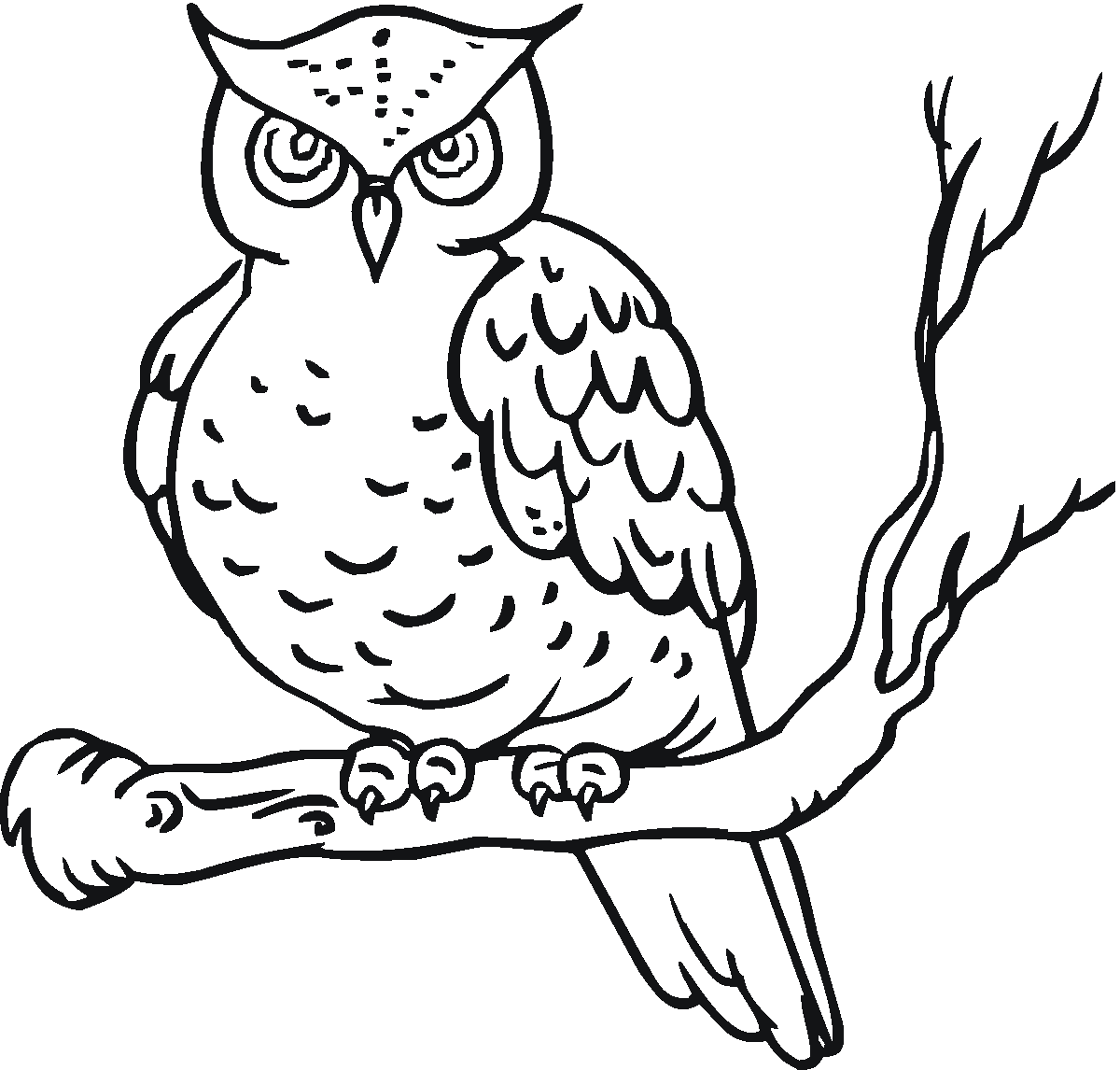 Dibujos para colorear e imprimir Owl