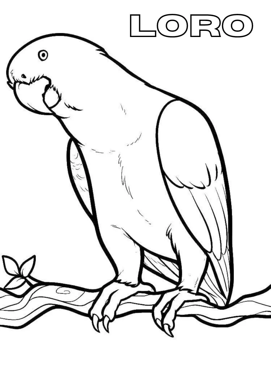 Dibujos para colorear e imprimir Parrot