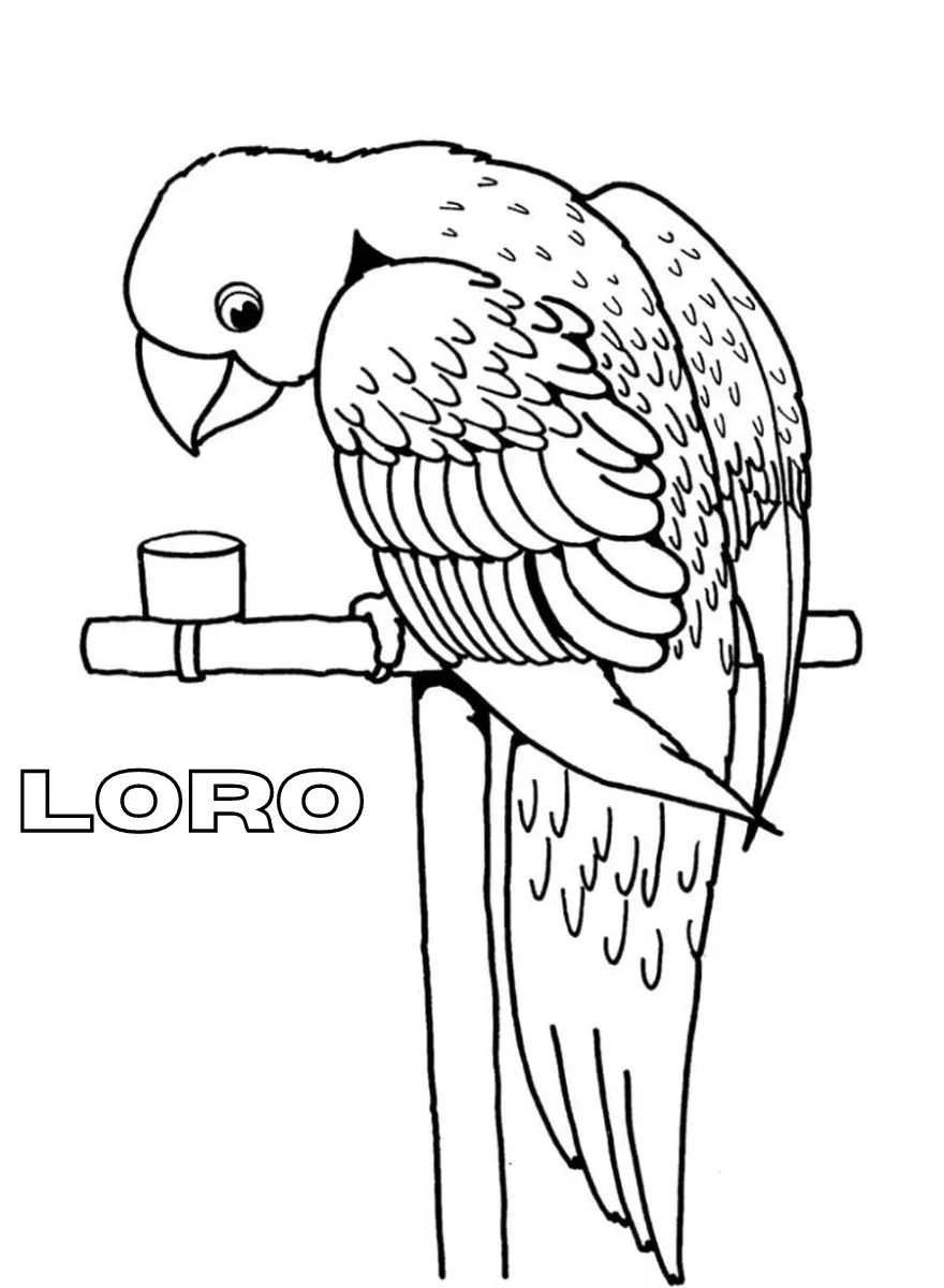 Dibujos para colorear e imprimir Parrot