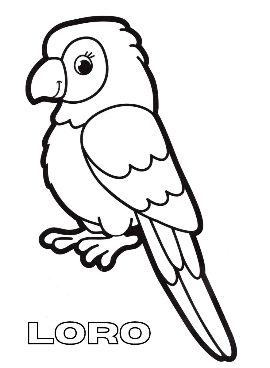 Dibujos para colorear e imprimir Parrot