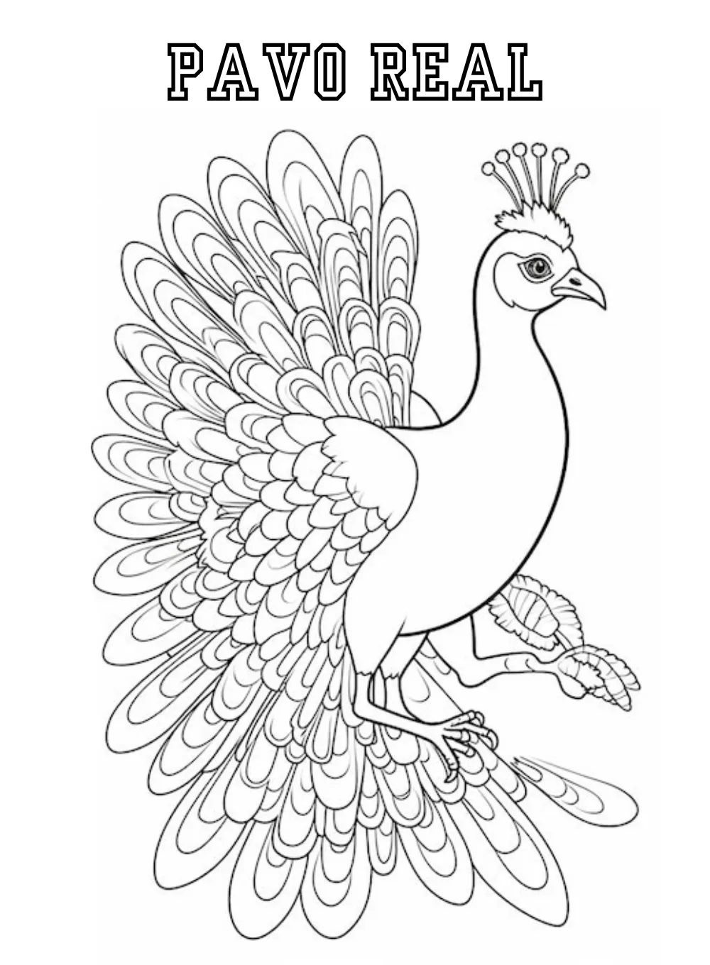 Dibujos para colorear e imprimir Peacock