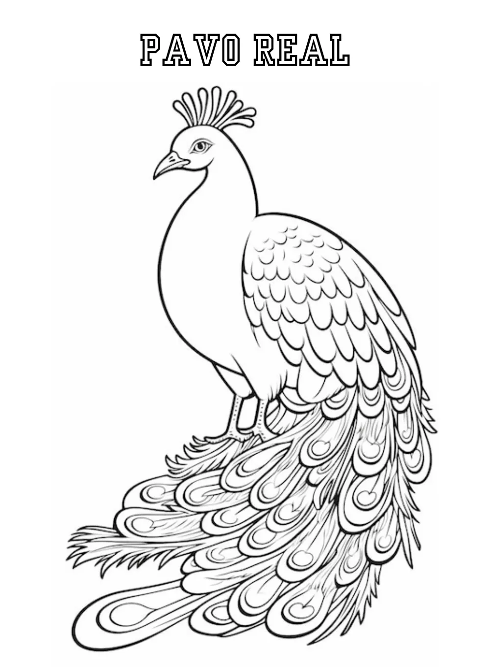 Dibujos para colorear e imprimir Peacock