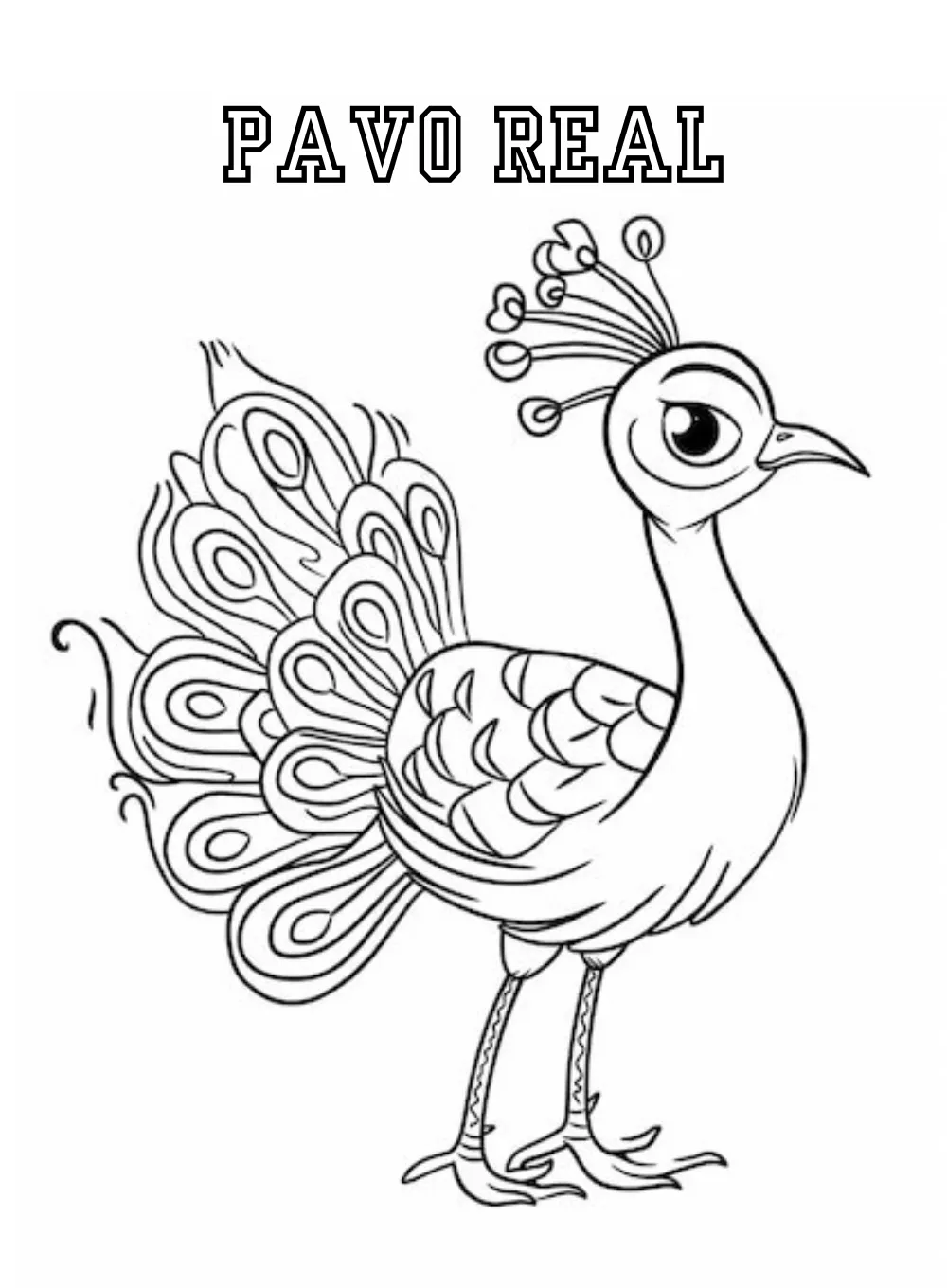 Peacock coloring pages 24