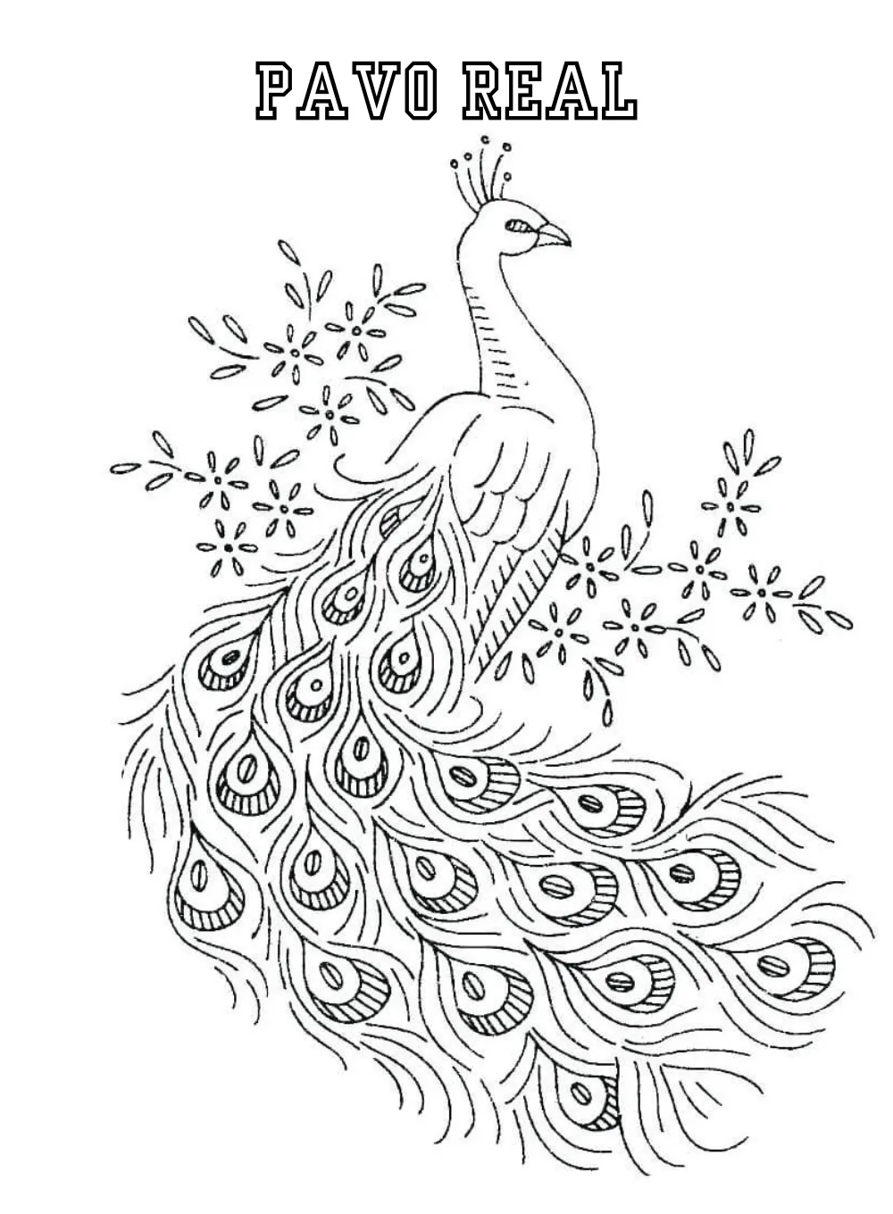 Dibujos para colorear e imprimir Peacock