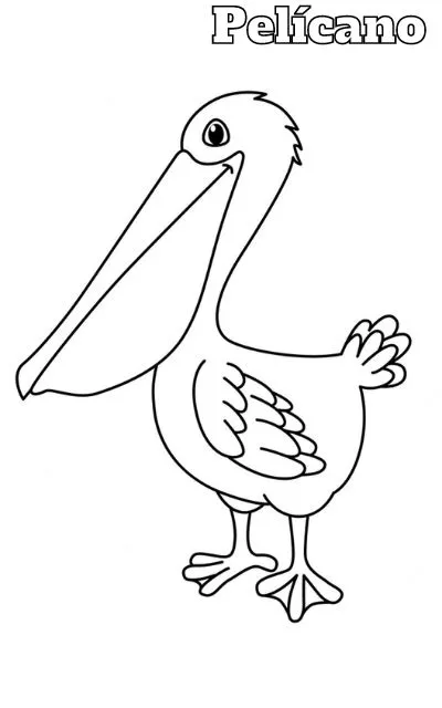 Dibujos para colorear e imprimir Pelican