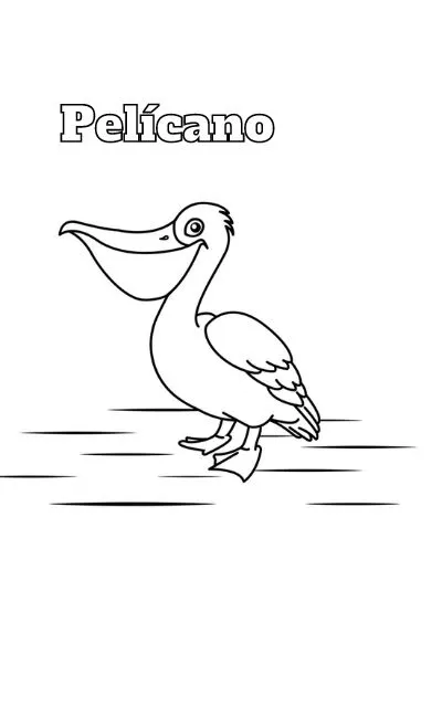 Dibujos para colorear e imprimir Pelican