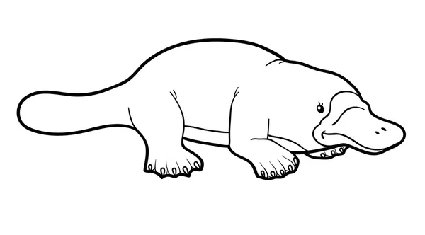 Dibujos para colorear e imprimir Platypus