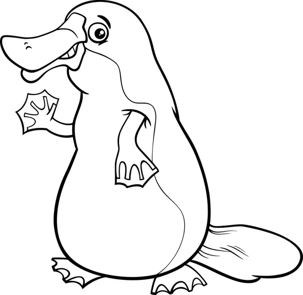 Dibujos para colorear e imprimir Platypus