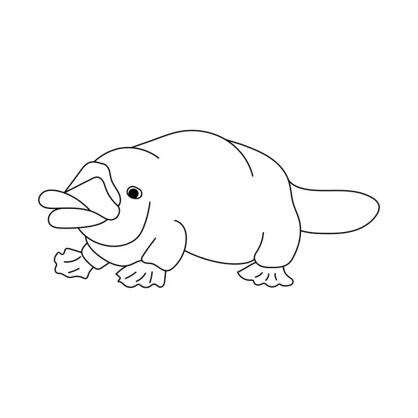 Dibujos para colorear e imprimir Platypus