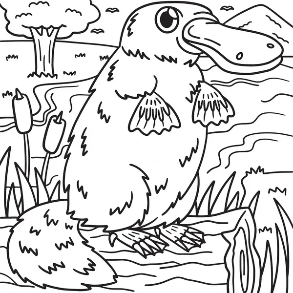 Dibujos para colorear e imprimir Platypus