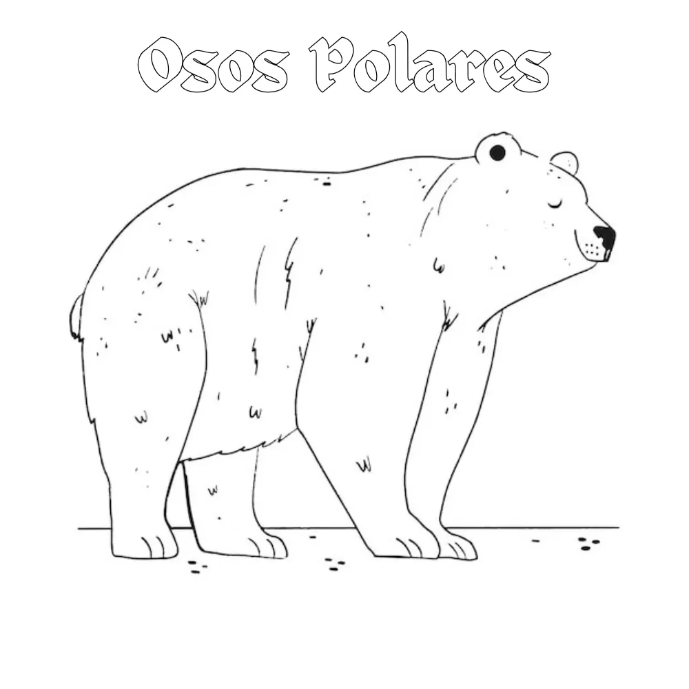 Dibujos para colorear e imprimir Polar Bears