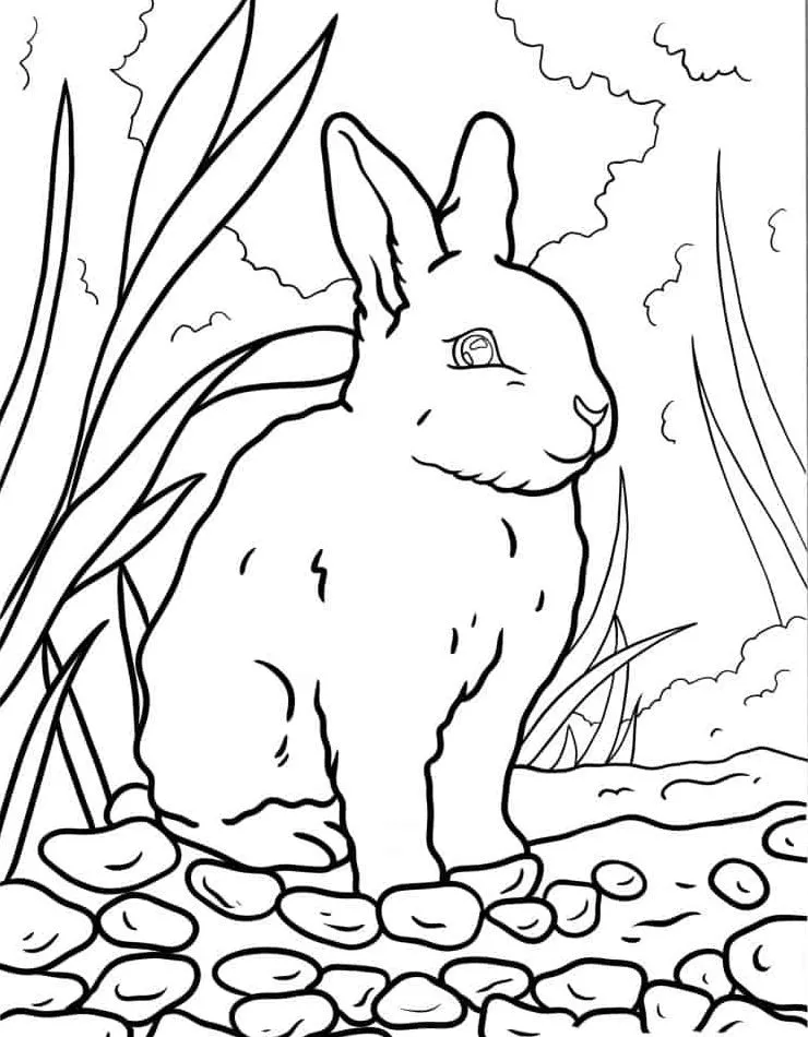 Dibujos para colorear e imprimir Rabbit