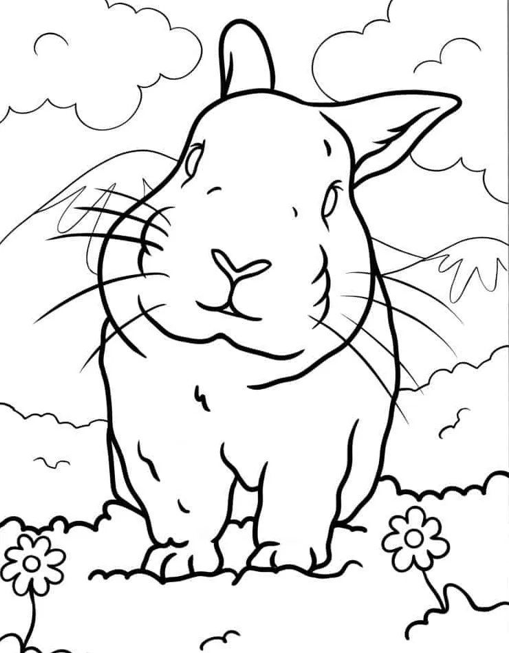 Dibujos para colorear e imprimir Rabbit